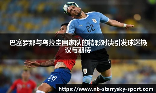 星空体育官网下载